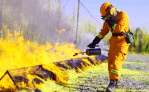 ȫ��������ȫ���ĵ�