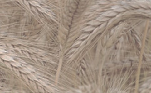 �������ϵ���С�󡷶����