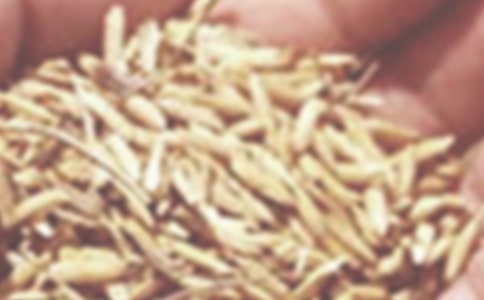  �����ϵ���С������