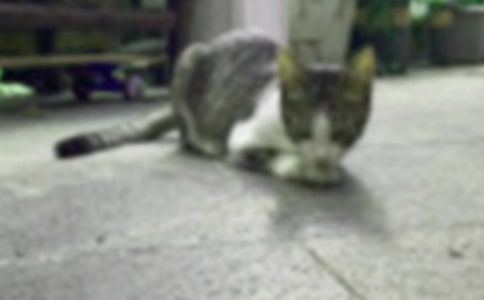 �ɰ���Сè����15ƪ[��]