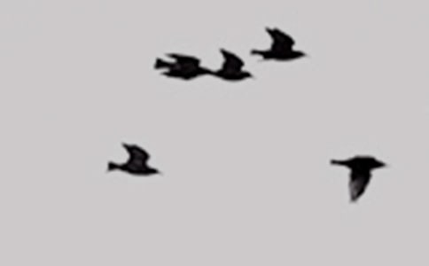 ��ʵ�á�С�������3ƪ