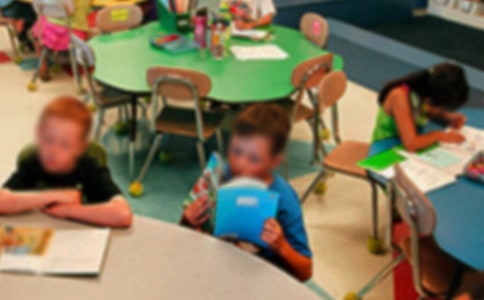 ����ѡ��Сѧ������������ƪ