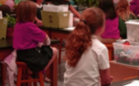 小学生学习心得体会