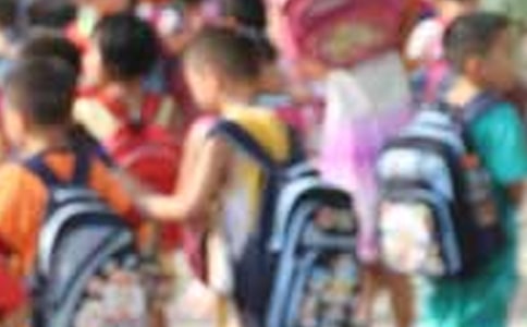 小学生毕业心得