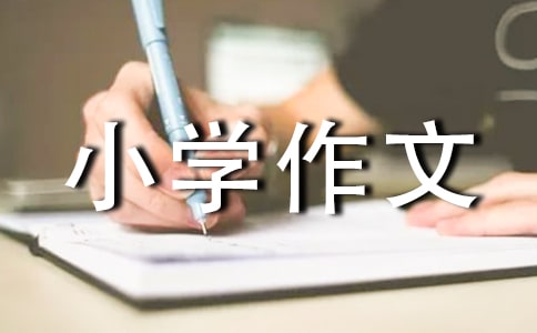 以成长为话题的小学作文