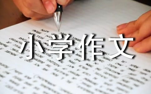 ����Сѧ����