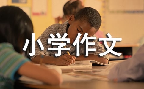 难忘的小学作文15篇【合集】