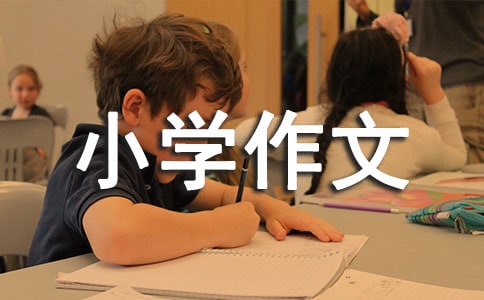 �Զ���Сѧ����