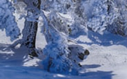 第一场小雪作文6篇