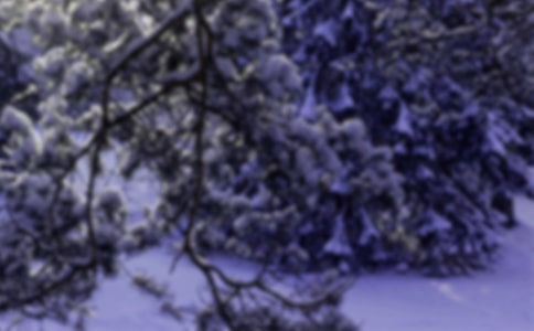 ���ݽ���Сѩ�ļ�̾��ӣ�ͨ��110�䣩