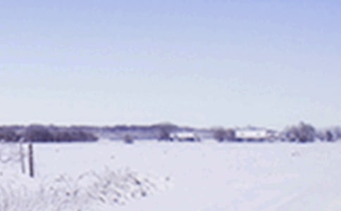 小雪节气作文12篇