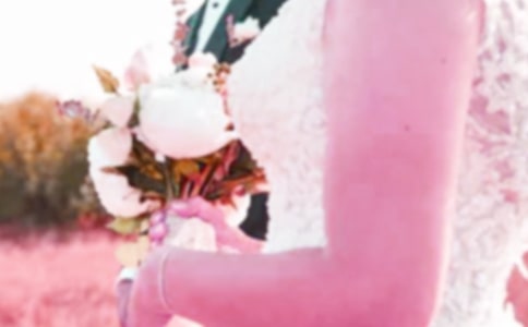 ף�����»�ľ���(12ƪ)