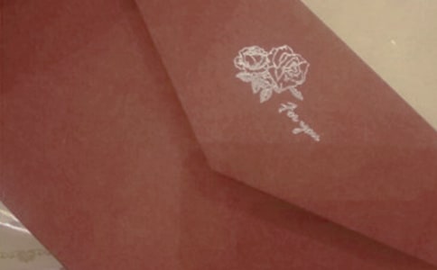 九十九只信封作文