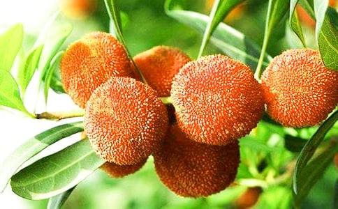 д��÷������(4ƪ)