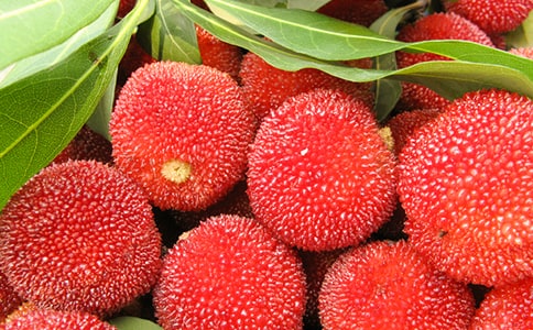 ժ��÷����(����)