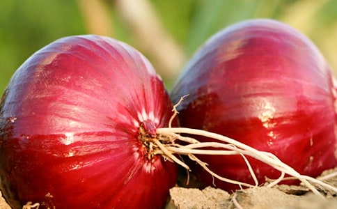 ��е�����