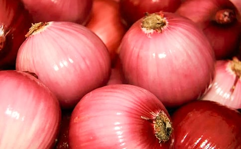 ���ͷ���ռǶ���У�����15ƪ��