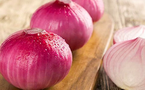 《洋葱头历险记》读后感【范例12篇】