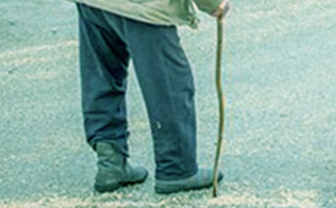 �й�����үү�����Ļ��ܰ�ƪ