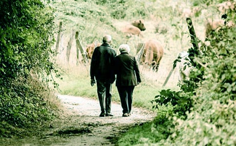 үү�����ļ���[15ƪ]