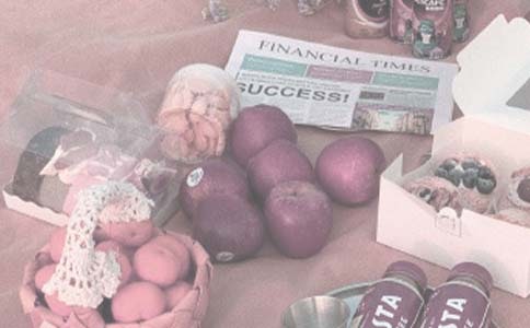 难忘的野餐作文优选(3篇)