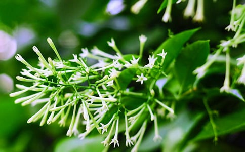 ҹ��������15ƪ[�Ƽ�]