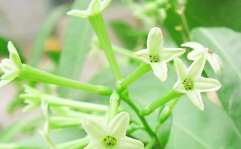 ��дҹ����ľ���