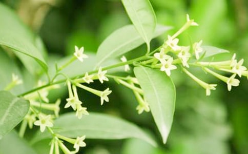 ��дҹ���������