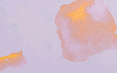 ˵�������������