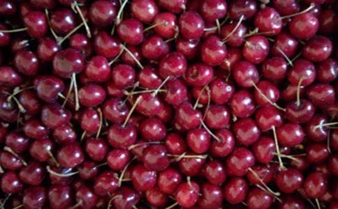 ժӣ�����ġ����š�