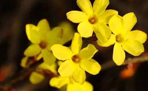 ӭ��������[���15ƪ]