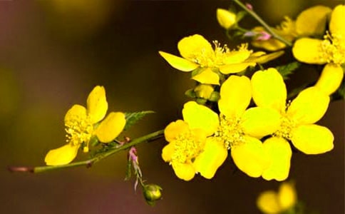 [����]ӭ��������