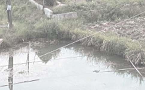 �������������ġ���ȫ6ƪ��