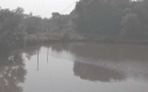 �����岨-����������800�� �������ķ���