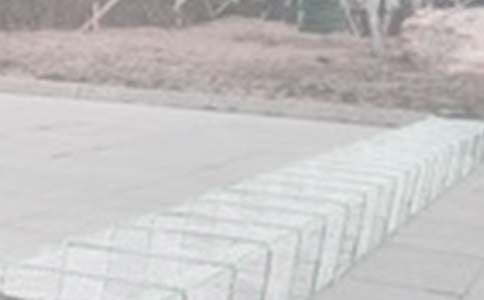 渔网,令我如此难忘-记事作文600字 初一作文范文