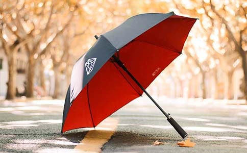 一把雨伞作文(15篇)