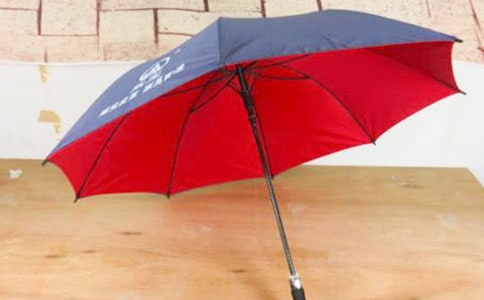 雨伞的作文【汇编15篇】