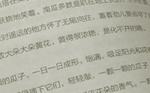 (精)语文核心素养心得体会15篇