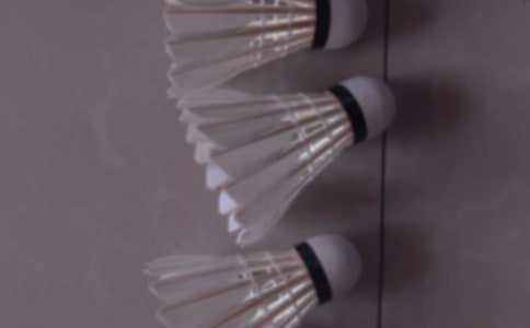 【经典】打羽毛球作文