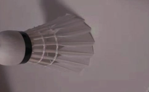 ��ë�������