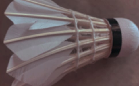 大学羽毛球课心得