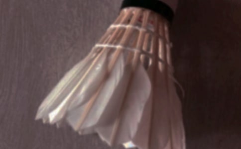 ����ë�������