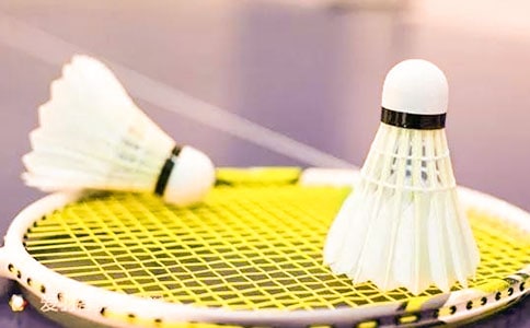 羽毛球之旅作文