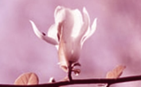 ��д����������