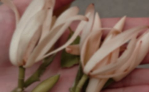 ����������[����]