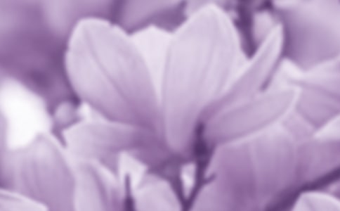 ����������15ƪ[��]