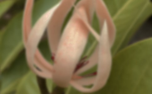 �Ұ����������ġ����ϡ�