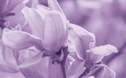 (��ѡ)������������15ƪ