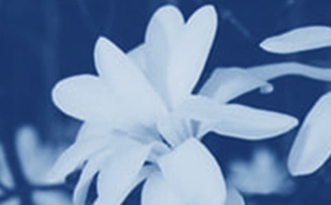 ����������15ƪ(��)