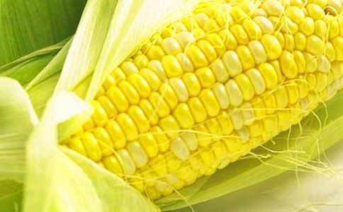 掰玉米作文【精】